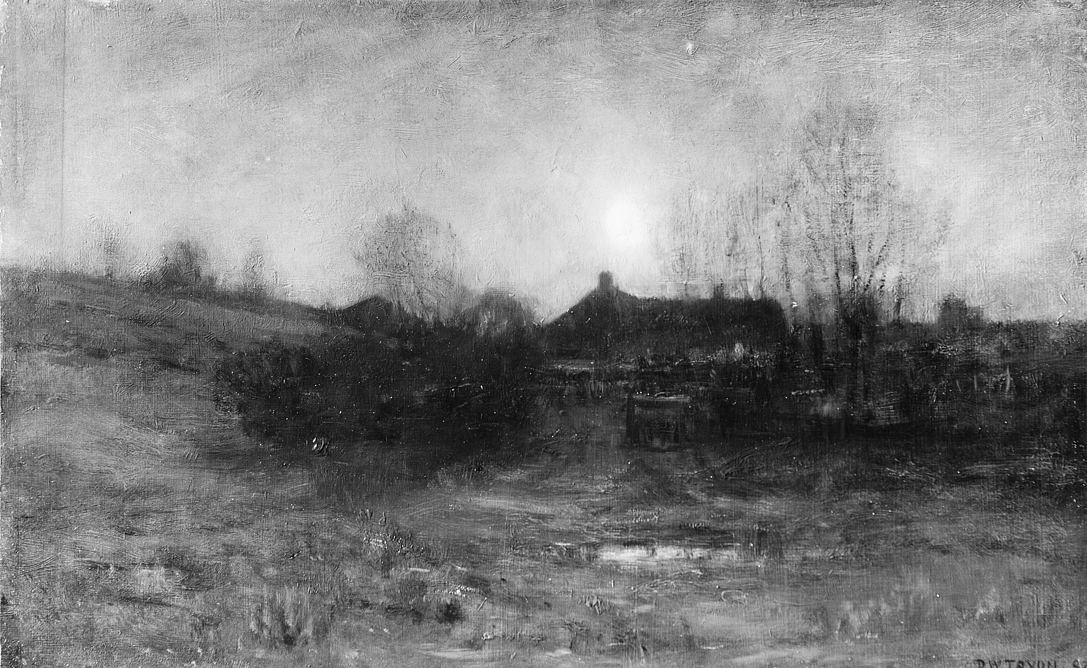 A Cabin in the Woods